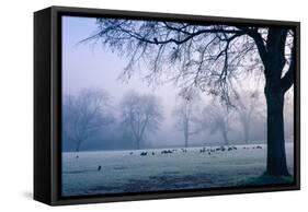Winter Scene with a Flock of Birds Feeding on the Ground-Sharon Wish-Framed Stretched Canvas