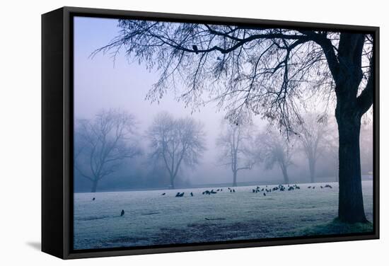 Winter Scene with a Flock of Birds Feeding on the Ground-Sharon Wish-Framed Stretched Canvas