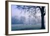 Winter Scene with a Flock of Birds Feeding on the Ground-Sharon Wish-Framed Photographic Print