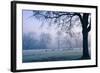 Winter Scene with a Flock of Birds Feeding on the Ground-Sharon Wish-Framed Photographic Print