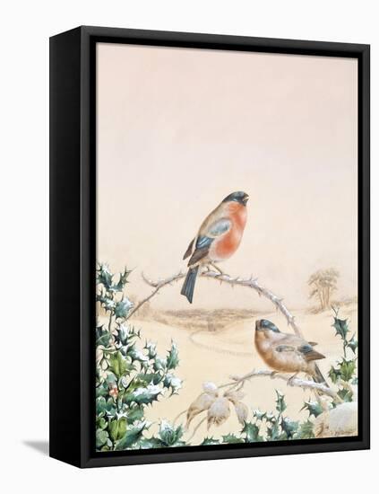 Winter Scene with Chaffinch and Holly-Henry Fuseli-Framed Stretched Canvas