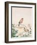 Winter Scene with Chaffinch and Holly-Henry Fuseli-Framed Giclee Print