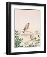 Winter Scene with Chaffinch and Holly-Henry Fuseli-Framed Giclee Print