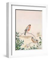 Winter Scene with Chaffinch and Holly-Henry Fuseli-Framed Giclee Print