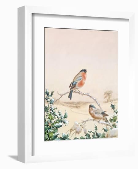 Winter Scene with Chaffinch and Holly-Henry Fuseli-Framed Giclee Print