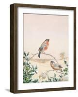 Winter Scene with Chaffinch and Holly-Henry Fuseli-Framed Giclee Print