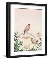 Winter Scene with Chaffinch and Holly-Henry Fuseli-Framed Giclee Print