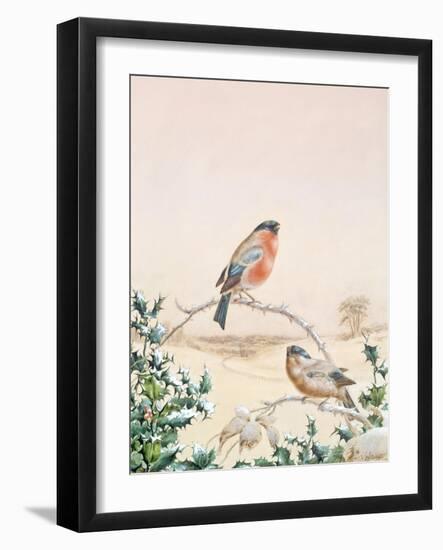 Winter Scene with Chaffinch and Holly-Henry Fuseli-Framed Giclee Print