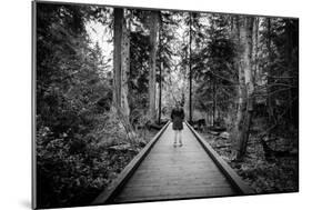 Winter Scene with Female Standing Alone in Woodland-Sharon Wish-Mounted Photographic Print