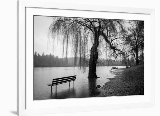 Winter Scene with Goose and Lake-Sharon Wish-Framed Photographic Print