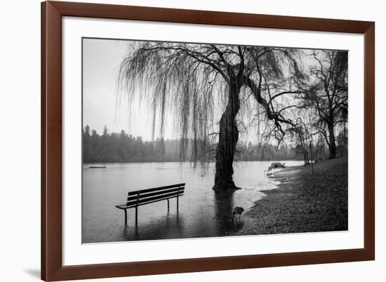 Winter Scene with Goose and Lake-Sharon Wish-Framed Photographic Print