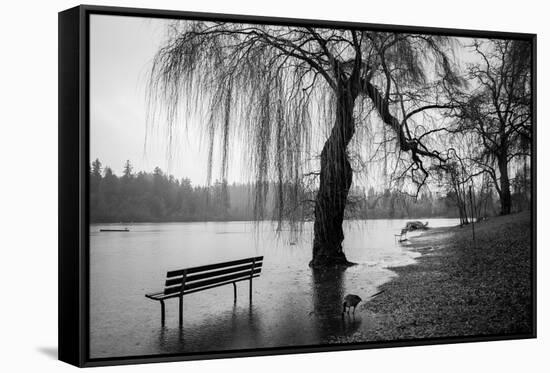 Winter Scene with Goose and Lake-Sharon Wish-Framed Stretched Canvas