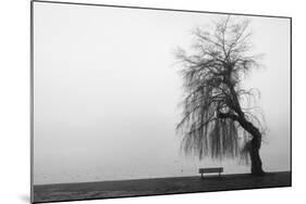 Winter Scene with Lake and Park Bench-Sharon Wish-Mounted Photographic Print