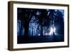 Winter Scene with Low Sunlight Shining Through Trees-Sharon Wish-Framed Photographic Print