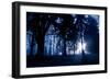 Winter Scene with Low Sunlight Shining Through Trees-Sharon Wish-Framed Photographic Print