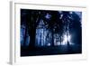 Winter Scene with Low Sunlight Shining Through Trees-Sharon Wish-Framed Photographic Print