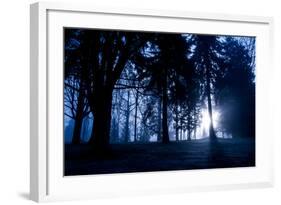 Winter Scene with Low Sunlight Shining Through Trees-Sharon Wish-Framed Photographic Print