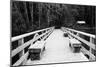 Winter Scene with Wooden Foot Bridge-Sharon Wish-Mounted Premium Photographic Print