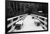 Winter Scene with Wooden Foot Bridge-Sharon Wish-Framed Photographic Print