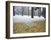 Winter Scene, Yoyogi Koen (Park), Tokyo, Japan-Christian Kober-Framed Photographic Print