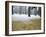 Winter Scene, Yoyogi Koen (Park), Tokyo, Japan-Christian Kober-Framed Photographic Print