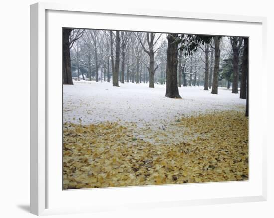 Winter Scene, Yoyogi Koen (Park), Tokyo, Japan-Christian Kober-Framed Photographic Print