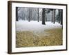 Winter Scene, Yoyogi Koen (Park), Tokyo, Japan-Christian Kober-Framed Photographic Print