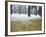 Winter Scene, Yoyogi Koen (Park), Tokyo, Japan-Christian Kober-Framed Photographic Print