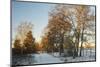 Winter Scene-Jochen Schlenker-Mounted Photographic Print