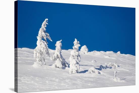 Winter Scene-indigo-Stretched Canvas