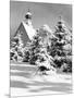 Winter Scene-Philip Gendreau-Mounted Photographic Print