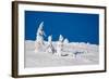 Winter Scene-indigo-Framed Photographic Print