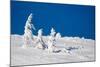 Winter Scene-indigo-Mounted Photographic Print