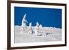 Winter Scene-indigo-Framed Photographic Print