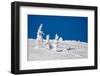 Winter Scene-indigo-Framed Photographic Print