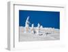 Winter Scene-indigo-Framed Photographic Print