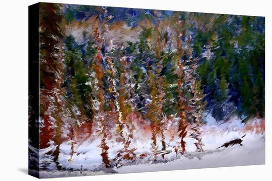 Winter Scene-Ursula Abresch-Stretched Canvas