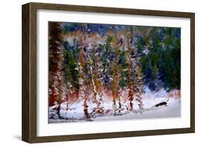 Winter Scene-Ursula Abresch-Framed Photographic Print