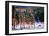 Winter Scene-Ursula Abresch-Framed Photographic Print