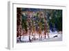 Winter Scene-Ursula Abresch-Framed Photographic Print