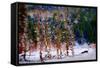 Winter Scene-Ursula Abresch-Framed Stretched Canvas