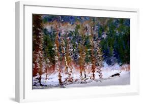 Winter Scene-Ursula Abresch-Framed Photographic Print