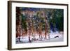 Winter Scene-Ursula Abresch-Framed Photographic Print