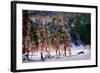 Winter Scene-Ursula Abresch-Framed Photographic Print