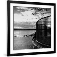 Winter Scene-Sharon Wish-Framed Photographic Print