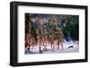 Winter Scene-Ursula Abresch-Framed Photographic Print