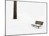 Winter Scene-Steve Gadomski-Mounted Photographic Print