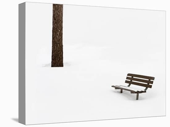 Winter Scene-Steve Gadomski-Stretched Canvas