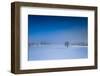 Winter Scenery at Sundown, Triebtal, Vogtland, Saxony, Germany-Falk Hermann-Framed Photographic Print