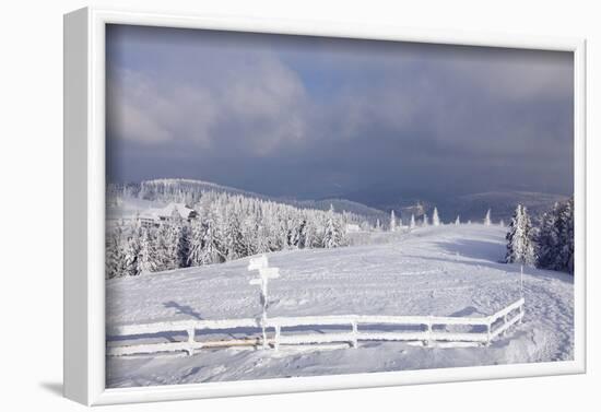 Winter scenery at the Kandel, Black Forest, Baden-Wurttemberg, Germany-Markus Lange-Framed Photographic Print